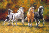 Malen nach Zahlen Bild Pferde im Galopp - WD2388 von Artibalta