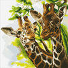 Malen nach Zahlen Bild Freundliche Giraffen - CAK-A86 von Craft Buddy