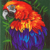 Malen nach Zahlen Bild Tropischer Vogel - CAK-A85 von Craft Buddy