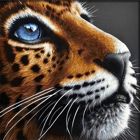 Malen nach Zahlen Bild Blauäugiger Leopard - AM4022 von Artibalta