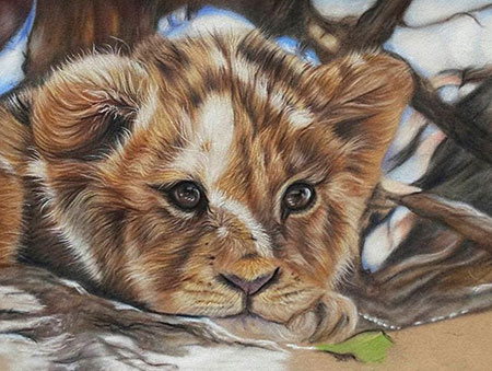 Malen nach Zahlen Bild Kleines Löwenkind - AZ-1524 von Artibalta