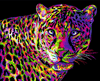 Malen nach Zahlen Bild Pop Art Leopard  - H141 von Artibalta