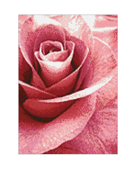 Malen nach Zahlen Bild Pink Rose - WD019 von Artibalta