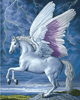 Malen nach Zahlen Bild Pegasus - WD176 von Artibalta
