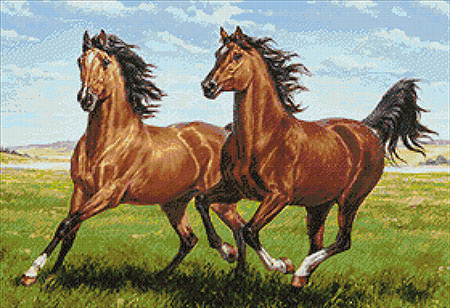 Malen nach Zahlen Bild Galoppierende Pferde - WD2457 von Artibalta