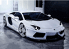 Malen nach Zahlen Bild Lamborghini - WD254 von Artibalta