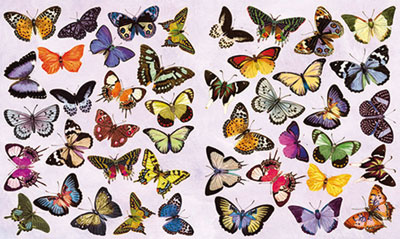 2 Bgen Decoupagepapier Schmetterlinge 33 x 48 cm