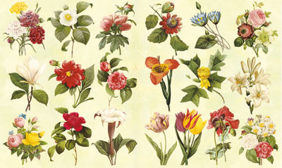 2 Bgen Decoupagepapier Gartenblumen 33 x 48 cm