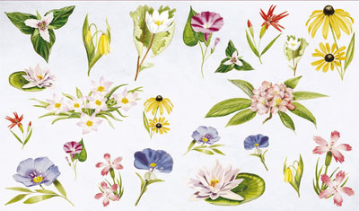 2 Bgen Decoupagepapier Sommerblumen 33 x 48 cm