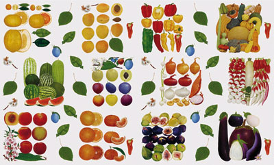 2 Bgen Decoupagepapier Obst & Gemse 33 x 48 cm