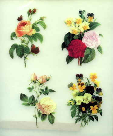 Rubbel-Transfers Vier Blumen 13 x 16 cm