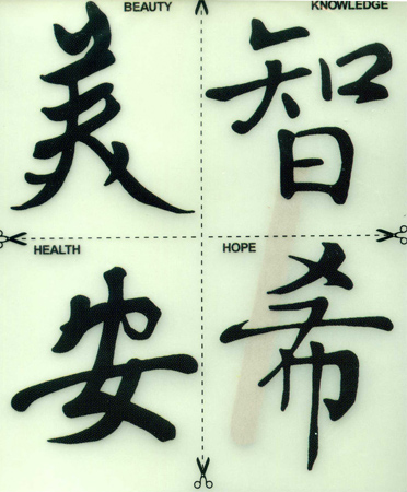 Rubbel-Transfers Asiatische Zeichen 13 x 16 cm