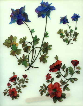 Rubbel-Transfers Wildblume 17 x 24 cm