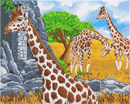 Malen nach Zahlen Bild Weidende Giraffen - CAK-A125L von Craft Buddy
