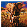 Malen nach Zahlen Bild Elefanten in der Savanne - CAK-A68 von Craft Buddy