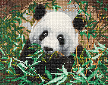 Malen nach Zahlen Bild Süßer Panda - CAK-A90 von Craft Buddy