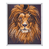 Malen nach Zahlen Bild Löwenporträt - CAM-23 von Craft Buddy