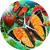 Malen nach Zahlen Bild Uhr - Schmetterling - CLK-S7 von Craft Buddy