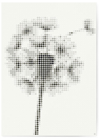 Malen nach Zahlen Bild DOT ON ART - Löwenzahn - black-white-dandelion-XL von Dot On