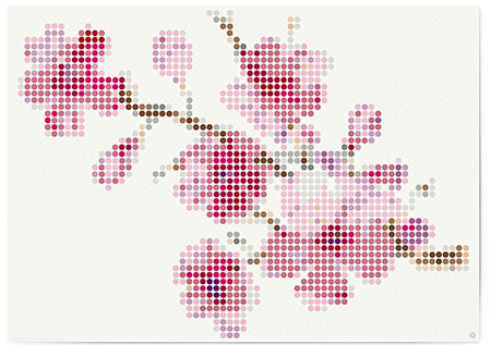 Malen nach Zahlen Bild DOT ON ART - Blumen - nature-blossom-XL von Dot On