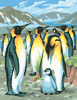 Malen nach Zahlen Bild Pinguine - 8220033 von Mammut