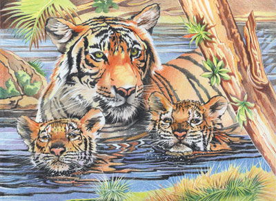 Malen nach Zahlen Bild Tigerfamilie - 116001 von Mammut