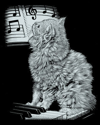 Katze am Piano