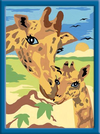 Schmusende Giraffen