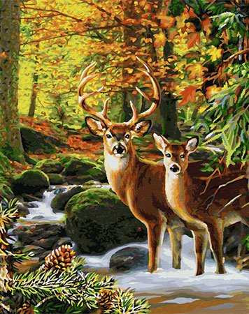 Malen nach Zahlen Bild Hirsche im Wald - 609130810 von Sonstiger Hersteller