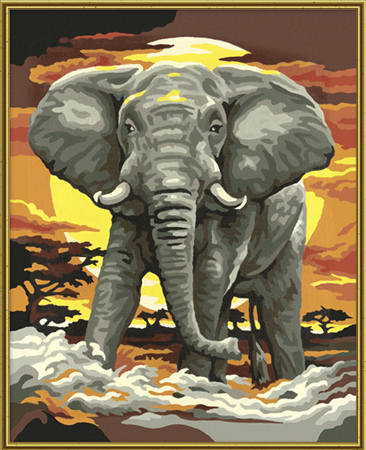 Pasim, der Elefant