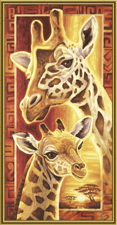 Afrika - Giraffen