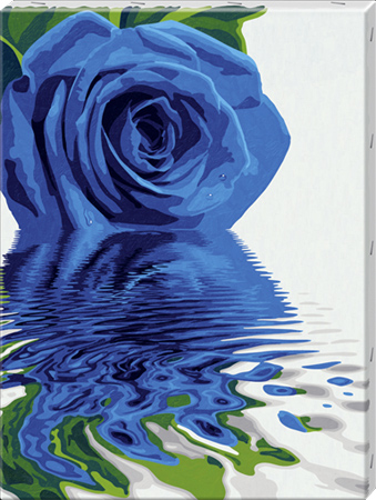 Reflections of a Blue Rose