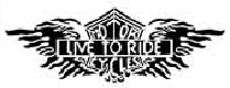 Tattooschablone - Time to Ride-Tribal 9 gro