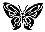 Tattooschablone  - Schmetterling