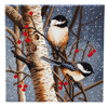 Malen nach Zahlen Bild Vögel im Winter-Wald - CAK-A76 von Craft Buddy