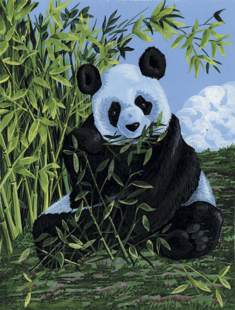 Malen nach Zahlen Bild Panda - PCS6 von Sonstige