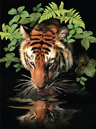 Malen nach Zahlen Bild Tiger - PJS57 von Sonstige