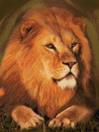 Malen nach Zahlen Bild Majestätisches Löwenportrait - VA002 von Art City
