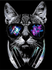 Malen nach Zahlen Bild Katze mit Brille und Kopfhörer - AM1970 von Artibalta