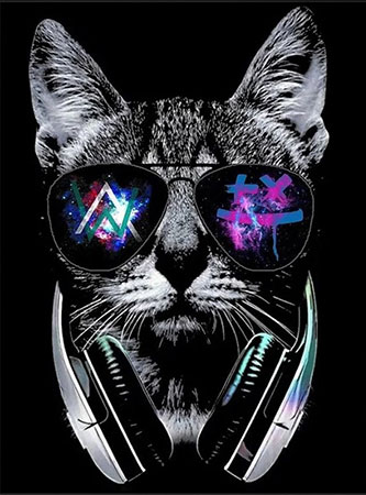 Malen nach Zahlen Bild Katze mit Brille und Kopfhörer - AM1970 von Artibalta