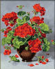 Rote Geranien in der Vase