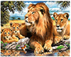 Malen nach Zahlen Bild Löwenfamilie - AZ-1399 von Artibalta