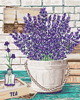 Malen nach Zahlen Bild Lavendel-Aroma - B080 von Artibalta