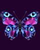 Malen nach Zahlen Bild Polygon Schmetterling  - P003 von Artibalta
