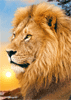 Malen nach Zahlen Bild Majestätischer Löwe - WD070 von Artibalta