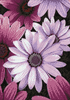 Malen nach Zahlen Bild Lilafarbene Gänseblümchen - WD2306 von Artibalta