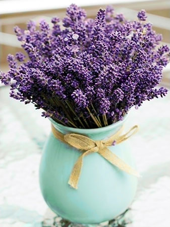 Vase mit Lavendelblüten