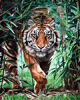 Malen nach Zahlen Bild Gefährlicher Tiger - WD310 von Artibalta