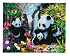 Malen nach Zahlen Bild Im Tal der Pandas - CAK-A21 von Craft Buddy