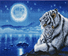 Malen nach Zahlen Bild Schlafende weiße Tiger - CAK-KN1 von Craft Buddy